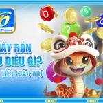 Mơ Thấy Rắn Báo Hiệu Điều Gì? Giải Mã Chi Tiết Giấc Mơ